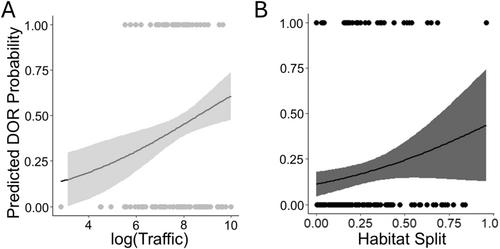 Road Mortality Contributes to the Evolution of an Urban–Rural Cline in Squirrel Coat Color