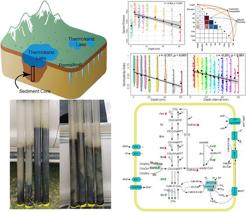 Unearthing Vertical Stratified Archaeal Community and Associated Methane Metabolism in Thermokarst Sediments