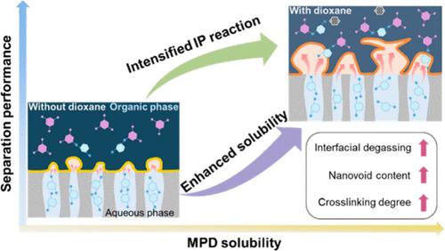 “Like Dissolves Like” Strategy Facilitates Interfacial Polymerization for Facile Synthesis of Highly Permeable Reverse Osmosis Membranes