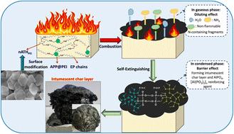 Preparation and synergistic effect of aluminum hydroxide nanoplates on the fire resistance and thermal stability of the intumescent flame retardant epoxy composite