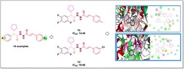 Synthesis, characterization, and in vitro and in silico α-glucosidase inhibitory evolution of novel N′-(2-cyclopentyl-2-phenylacetyl)cinnamohydrazide derivatives†