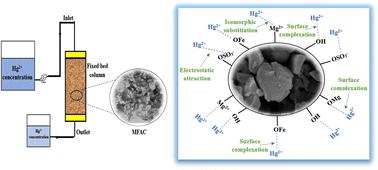 A novel Araucaria gum/carrageenan/Mg–Fe LDH nanocomposite for advanced batch and fixed-bed adsorption of mercuric ions from aqueous medium