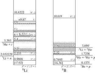 Study of the \({}^{{8}}\)Li Low-Lying Excited States