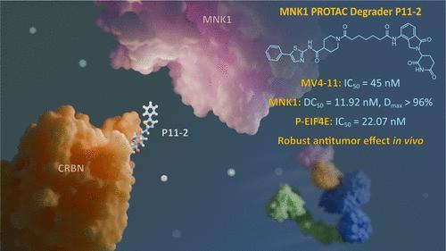 Discovery of P11–2: A Potent First-in-Class MNK1-Targeting PROTAC Degrader for the Treatment of Cancer