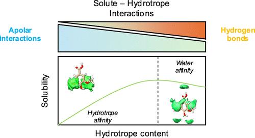 Understanding Solute-Hydrotrope Aggregation in Aqueous Solutions: A Molecular Dynamics Approach