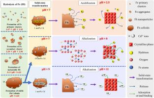 The fate of cadmium during the hydrolysis and solid-state transformation of iron