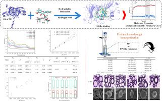Explore the binding mechanism and dynamic variation of pea protein isolate-rutin complexes to effectively improve the foam performance of pea protein isolate