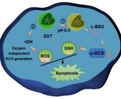 An oxygen-independent therapeutic nanosystem for fighting against hypoxic and antioxidant microenvironment of tumor