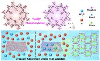 Covalent organic framework with excessive hydroxyl groups, a platform ready for phosphorylation then involved in uranium adsorption under high acidity