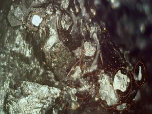 Abstract Image