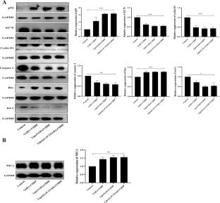 Treatment of Cervical Cancer with Tumor Homing Peptide LyP-2 Functionalized Liposome Loaded with Cisplatin and Vorinostat