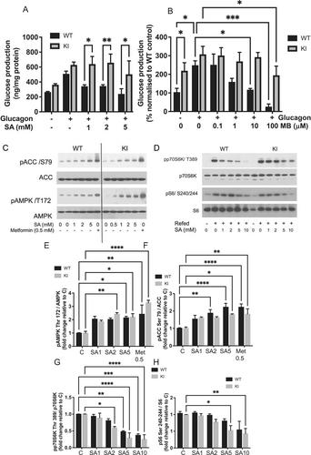 The Ancient Drug Salicylate Indirectly Targets Fructose-1,6-Bisphosphatase to Suppress Liver Glucose Production in Diet-Induced Obese Mice