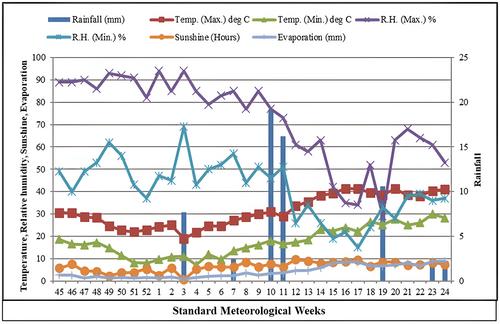 Designing a Diversified Indian Mustard Production System for Energy-Carbon-Cum-Heat Use Efficiency and Sowing Dates Assessment