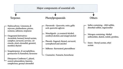 Exploring Essential Oils: Extraction, Biological Roles, and Food Applications