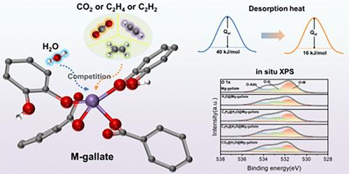 Dynamic Water-Driven Competitive Strategy Enables Selective and Easily Regenerable C2H2/C2H4 Separation on Gallate-Based Metal–Organic Framework Nanostructures