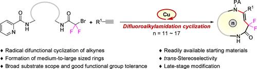 A General Medium-to-Large Sized Ring Synthesis Enabled by Copper-Catalyzed Difluoroalkylamidation Cyclization of Alkynes