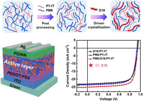 High-Crystallinity Polymer-Driven Fiber Network Morphology Optimization for Efficient Ternary All-Polymer Organic Solar Cells