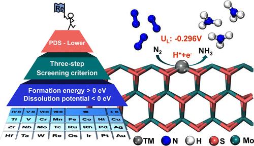 A DFT Study: Single Transition Metal Atom Doped MoS2 as Efficient Electrocatalysts for the Nitrogen Reduction Reaction