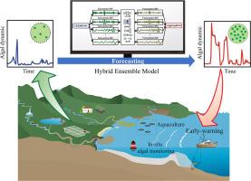 Algal bloom forecasting leveraging signal processing: A novel perspective from ensemble learning