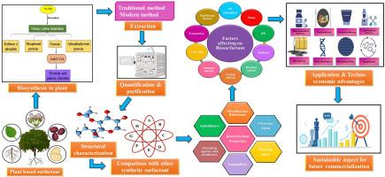 Biosurfactants production from plant-based saponin: Extraction and innovative applications & sustainable aspect for future commercialization