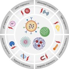 Application of responsive nano-drug carriers in bone tumor chemotherapy