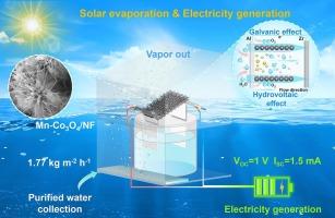 Solar-driven Mn-Co3O4/NF dual-function evaporator integrating hydrovoltaic–galvanic effects for enhanced desalination and power generation