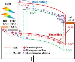 Research on the multiplication mechanism of single-carrier transport-based multiplication-type organic photodetector