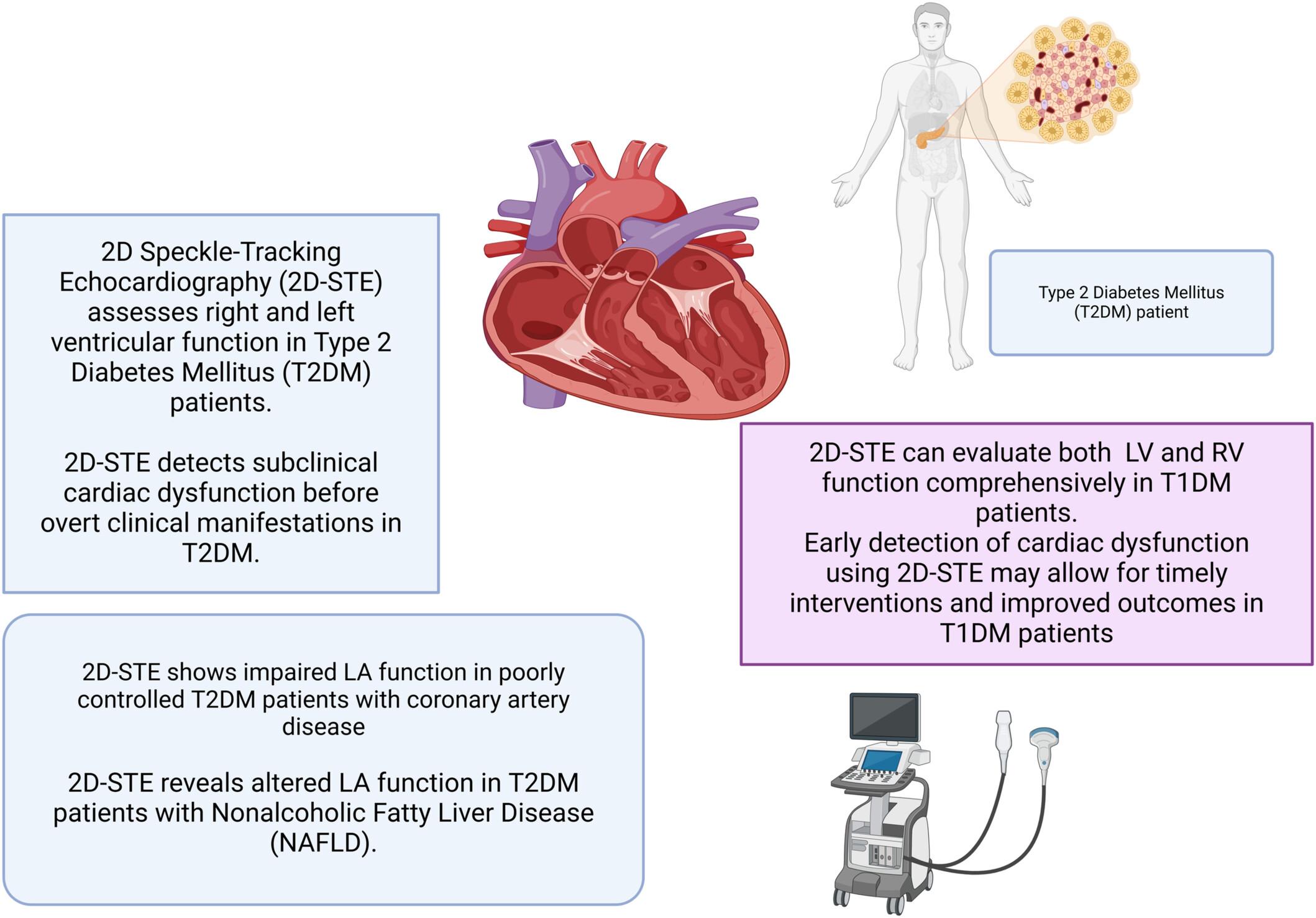 A Comprehensive Review of Two-Dimensional Speckle-Tracking Echocardiography in Assessing Right and Left Ventricular Function in Diabetic Patients