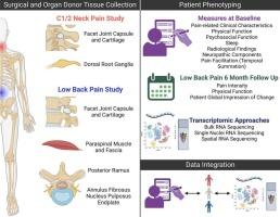 Patient phenotyping for molecular profiling of neck and low back pain – Study protocol