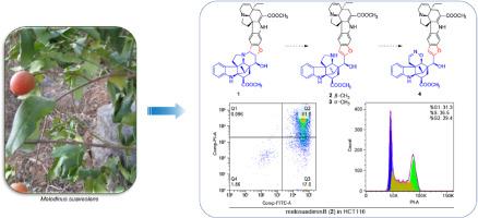 Aspidosperma-type bisindole alkaloids from Melodinus suaveolens and their antiproliferative activities