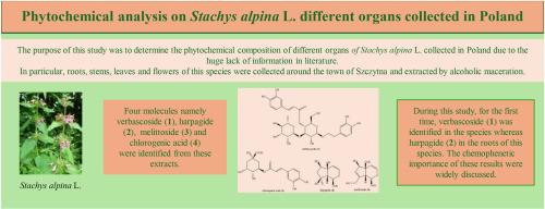 Phytochemical analysis on Stachys alpina L. different organs collected in Poland