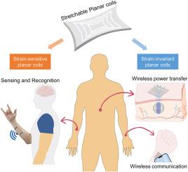 Programming stretchable planar coils as strain-invariant inductors and ultrasensitive wearable sensors