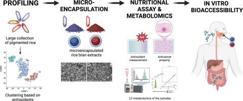 Optimization of phenolic extraction method and in vitro bioaccessibility of microencapsulated pigmented rice bran extracts and their antioxidant and anticancer properties