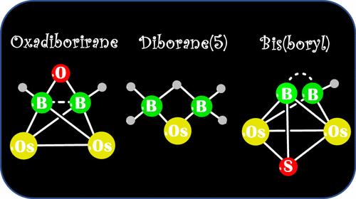 Diborane and Bis(boryl) Complexes of Osmium Stabilized in the Coordination Sphere of [Cp*Os] (Cp* = η5-C5Me5)