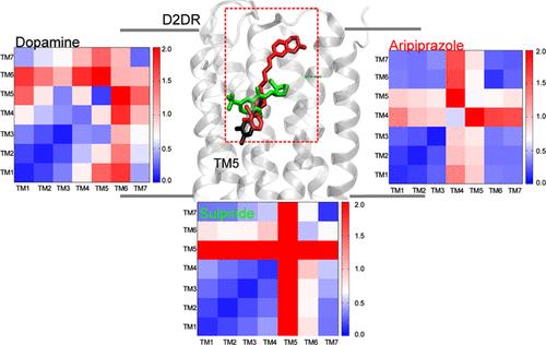 Insights into Ligand-Specific Activation Dynamics of Dopamine D2 Receptor Explored by MD Simulations