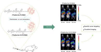 Design and synthesis of GRPR-targeted PET probes based on Dar derivatives for imaging of prostate cancer