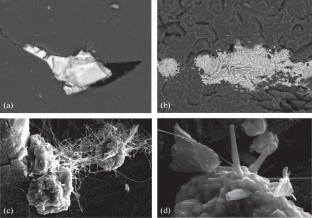 Content and Composition of Intracrystalline Inclusions and Impurities in Low-Strength Diamond Grinding Powders