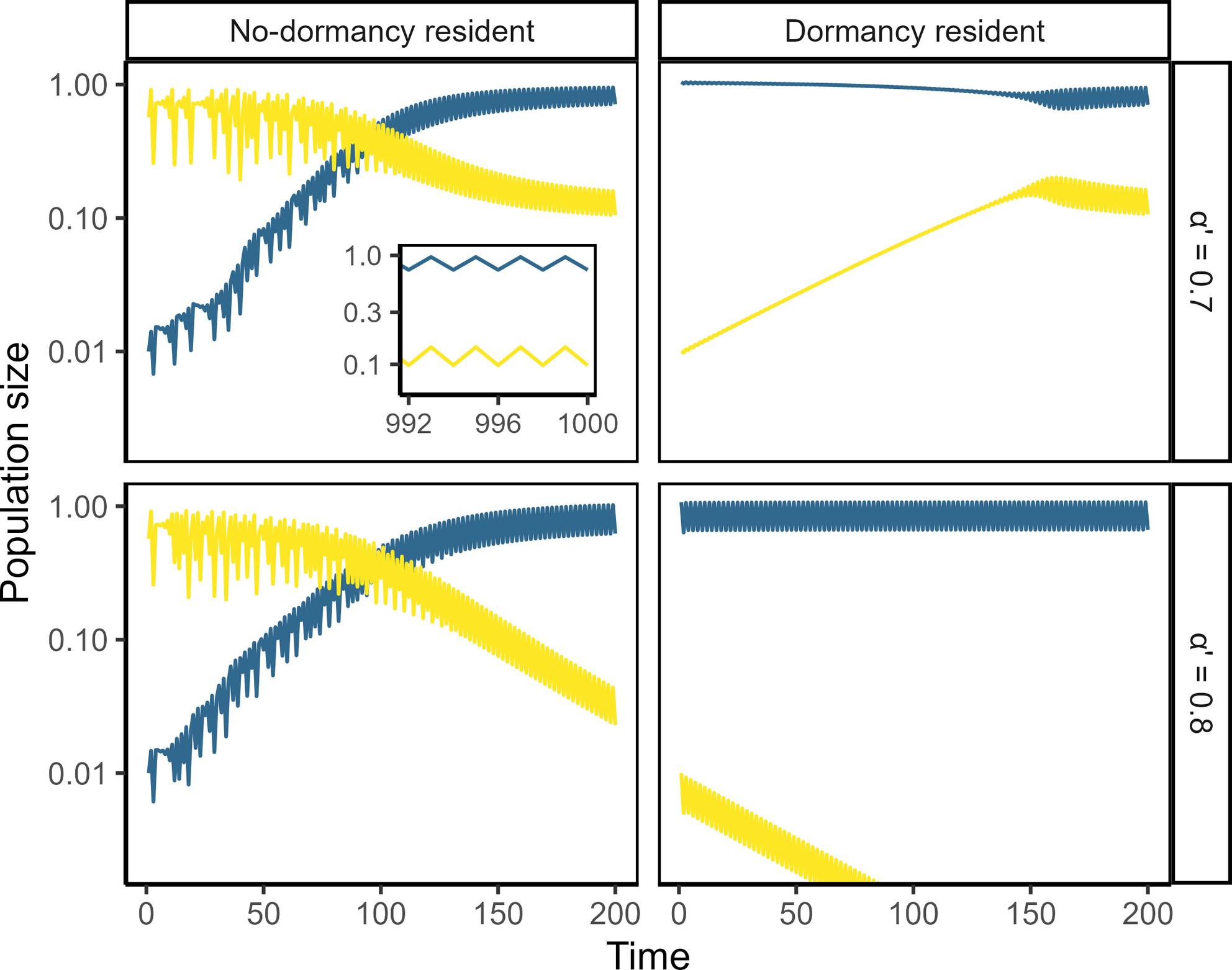 Stabilisation of Fluctuating Population Dynamics via the Evolution of Dormancy