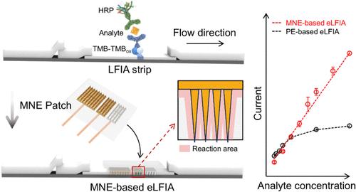 Microneedle Combined with an Electrochemical Lateral Flow Immunoassay Strip for Highly Sensitive and Wide-Range Detection of Protein Biomarkers by Increasing the Reaction Contact Area