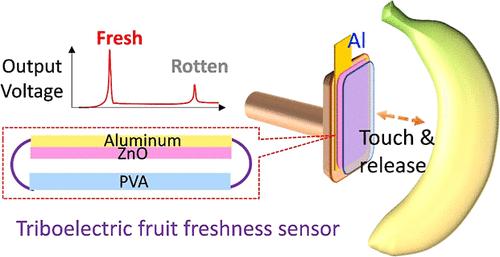 A Noninvasive Triboelectric Fruit Freshness Sensor with ZnO and PVA Layers