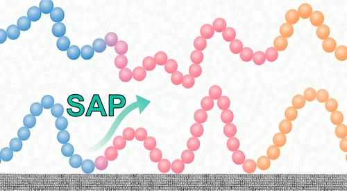 Model Polymer Systems Replicate the Experimental Features of the Slow Arrhenius Process