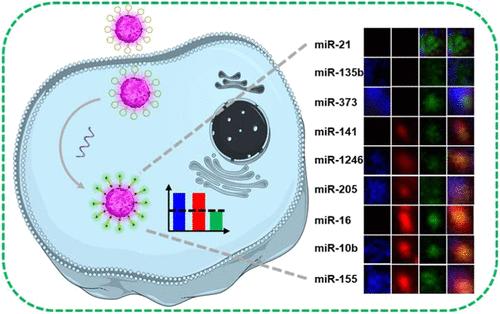 Programmed Fluorescence-Encoding DNA Nanoflowers for Cell-Specific-Target Multiplexed MicroRNA Imaging