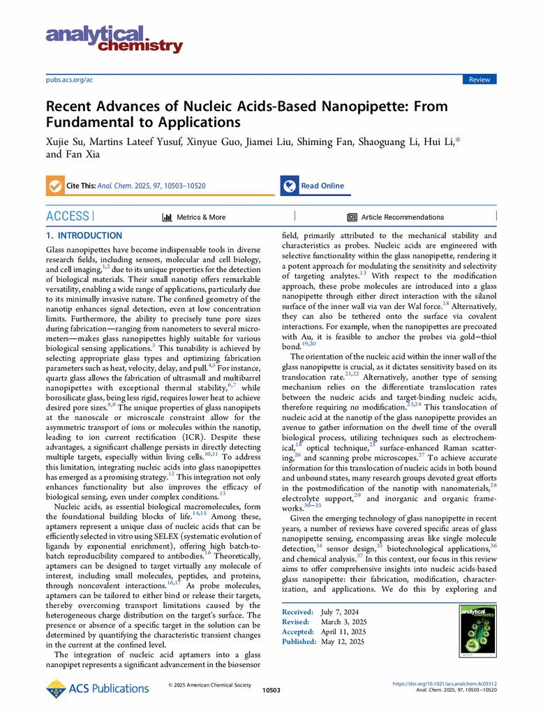 Recent Advances of Nucleic Acids-Based Nanopipette: From Fundamental to Applications