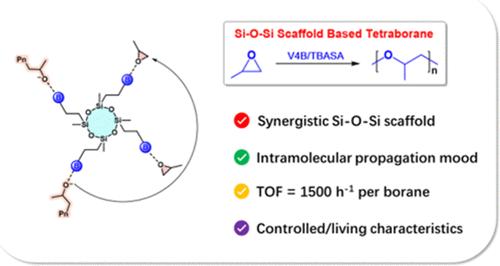 Using Vinyl Cyclicsiloxane as a Scaffold to Prepare Tetraborane Lewis Acid as a Synergistic Catalyst for the Ring-Opening Polymerization of Epoxides