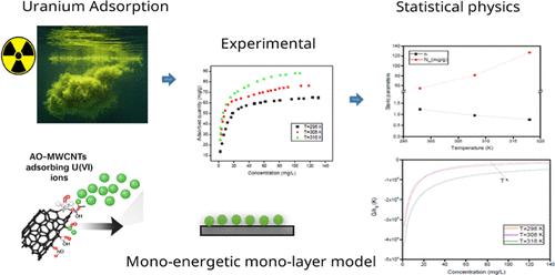 Unraveling Uranium Adsorption Mechanisms on Amidoxime-Modified Multiwalled Carbon Nanotubes Using Statistical Physics