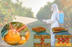 Fabrication of porous Au nanowires on a mirror featuring ultrahigh-density nanogaps via plasma-assisted nanotransfer printing for enhanced SERS