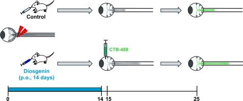 Oral administration of diosgenin protects optic nerve degeneration in a mouse model of normal-tension glaucoma