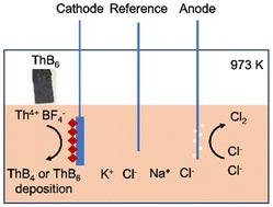 Low-temperature electrochemical production of thorium borides in NaCl-KCl molten salt systems†