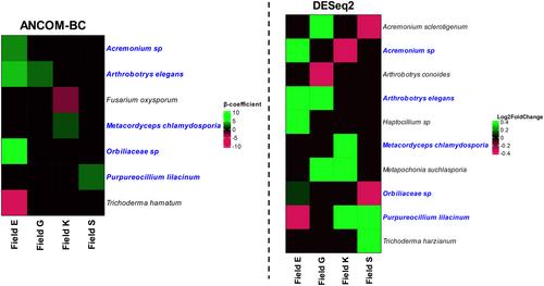 Patchy Distribution of Potato Cyst Nematodes Within Single Arable Fields Reveals Local Disease Suppressiveness Mediated by Disparate Microbial Communities