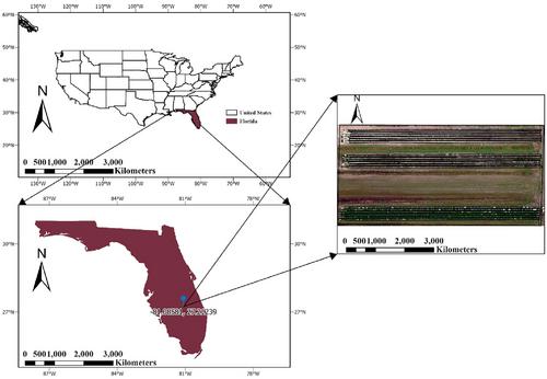 Plant spacing and cultivar effect on industrial hemp growth, biomass, and cannabinoids yield